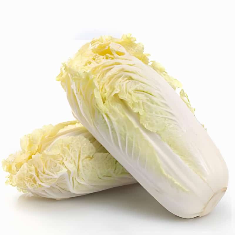 回南天怎么辦,回南天怎么辦