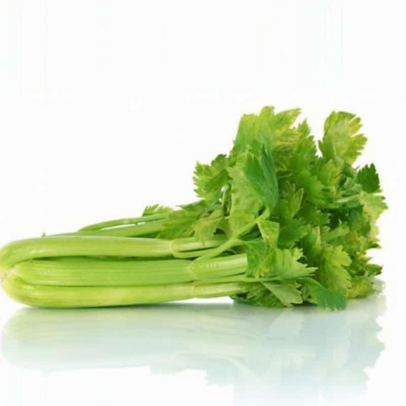 季養(yǎng)生小知識(shí) 春季養(yǎng)生食療