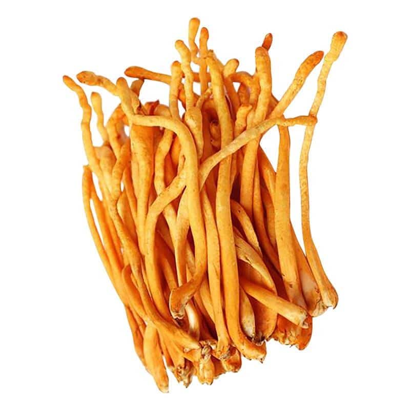 季節(jié)交替時(shí)怎樣預(yù)防舊病復(fù)發(fā)早春