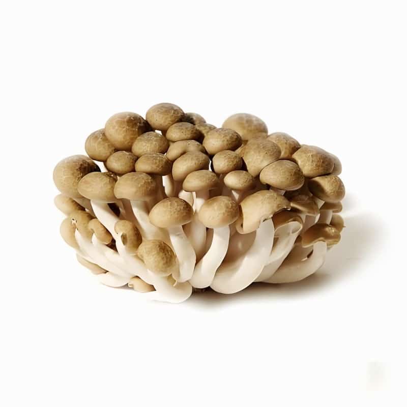 家庭美食譜精選：香櫞藥膳方盛夏