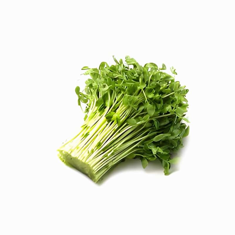 春季排毒養(yǎng)肝 常見(jiàn)排毒菜必吃早春