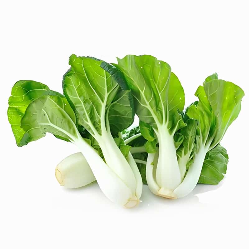 花粉過敏的癥狀是什么 患者應(yīng)該注意什么